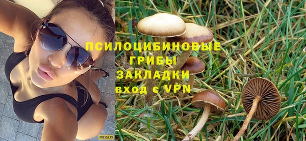 PSILOCYBIN Балабаново